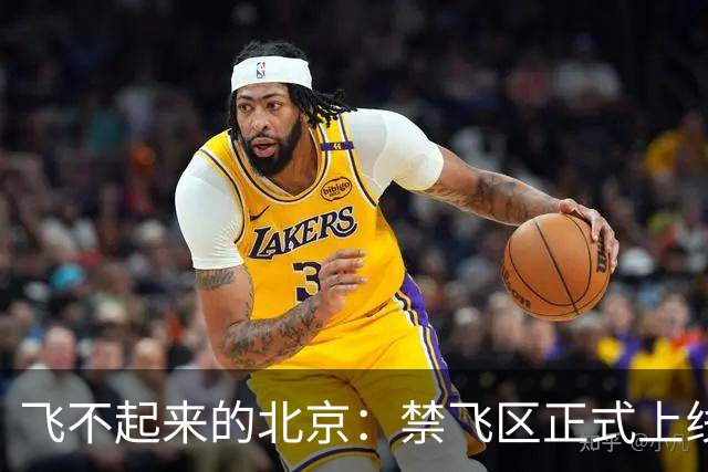 飞不起来的北京：禁飞区正式上线，空域如同高墙